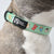 Dog Collar - Thanks A Brunch (Blue Paw Co. - FINAL SALE)