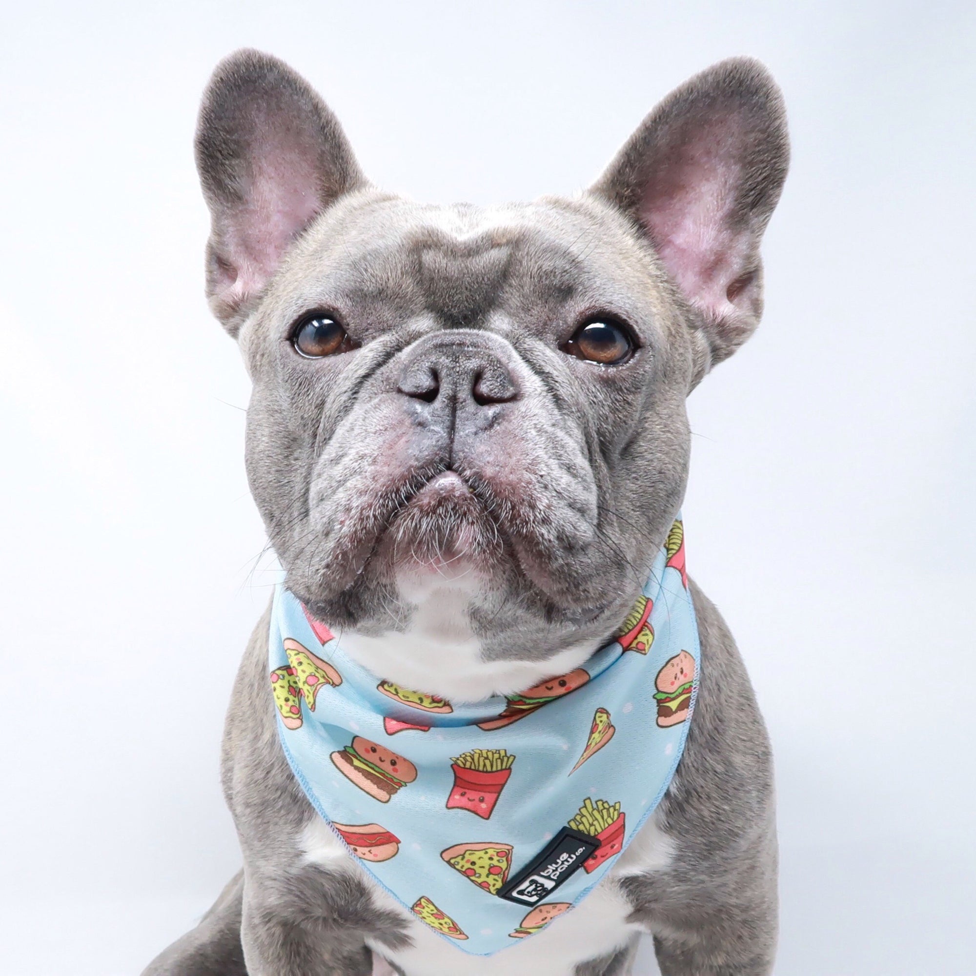 Cooling Dog Bandana - Cheat Day (Blue Paw Co. - FINAL SALE)