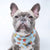 Cooling Dog Bandana - Cheat Day (Blue Paw Co. - FINAL SALE)