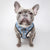 Reversible Dog Harness - Milky Way (Blue Paw Co. - FINAL SALE)