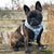 Reversible Dog Harness - Milky Way (Blue Paw Co. - FINAL SALE)