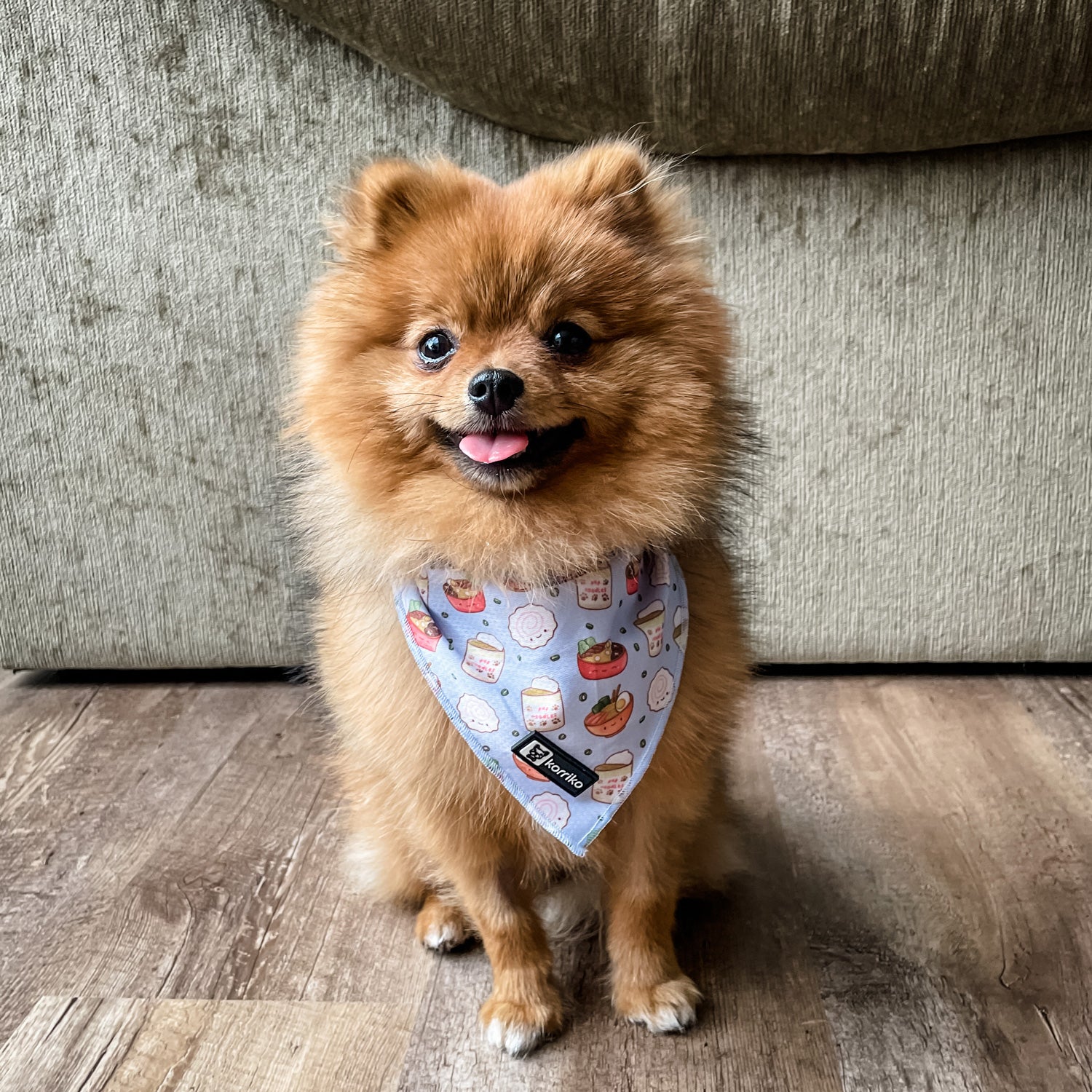 Cooling Dog Bandana - Ramen