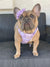 Exploration Lite No-Pull Dog Harness - Lilac