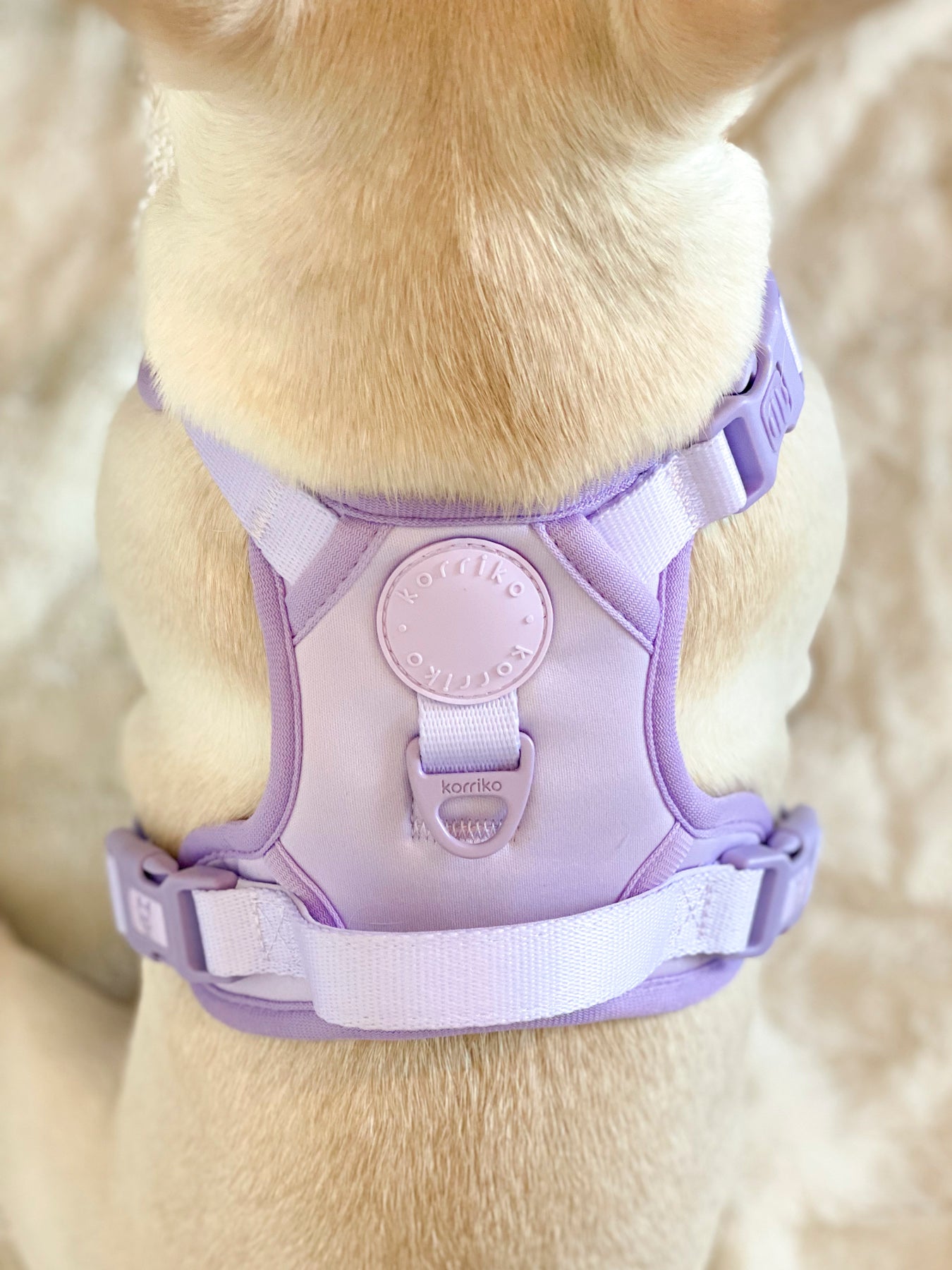 Exploration Lite No-Pull Dog Harness - Lilac (Final Sale)