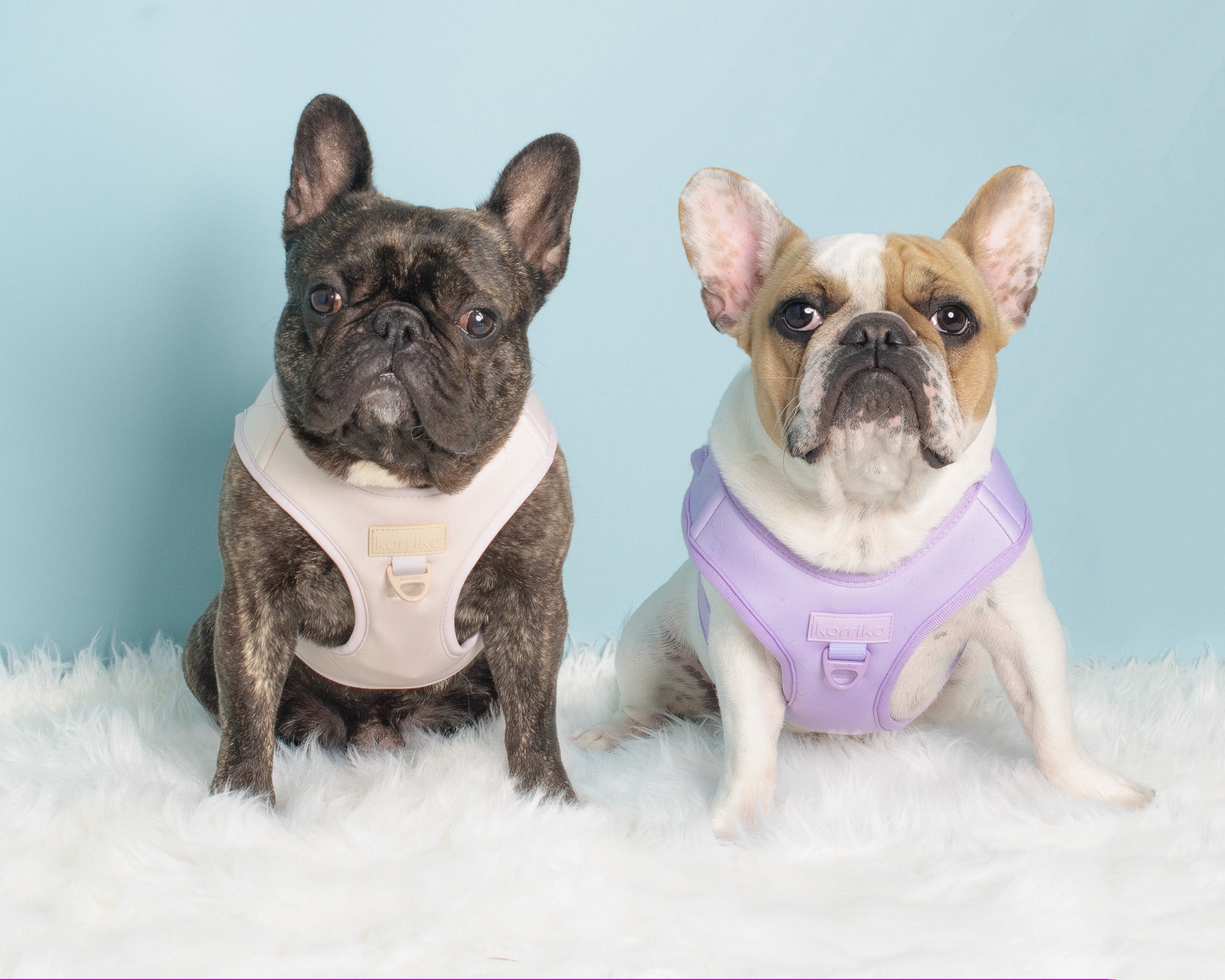 Step-In Dog Harness - Lilac (Final Sale)