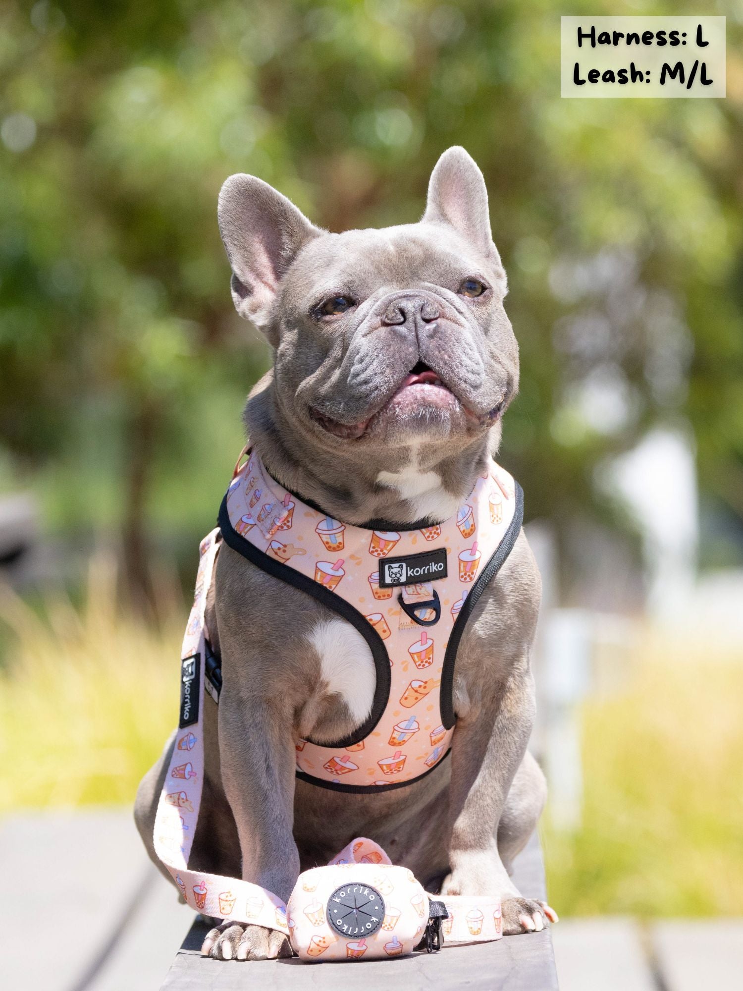 Adjustable Dog Harness - Milk Tea