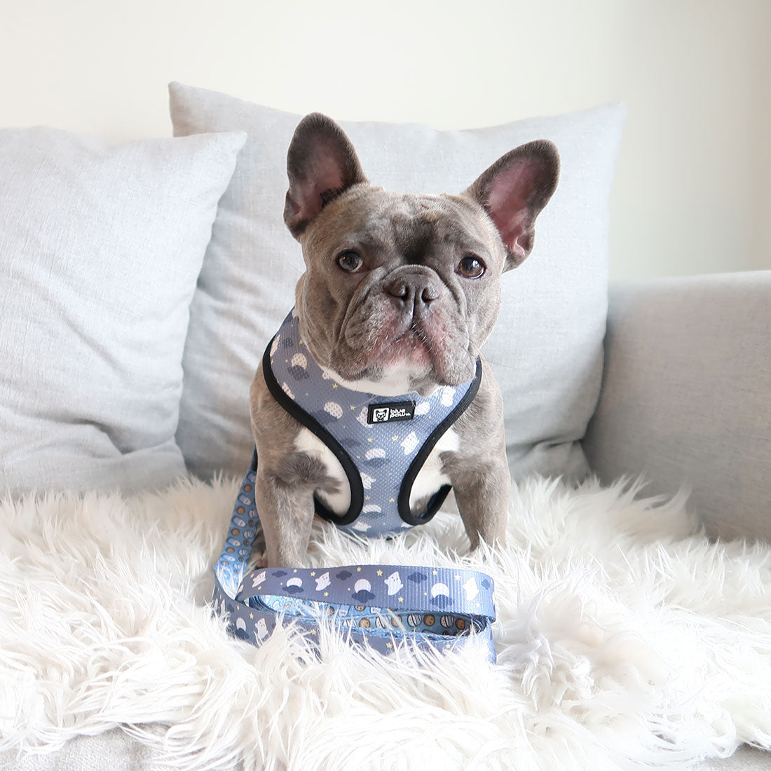 Reversible Dog Harness - Milky Way - Blue Paw Co.