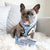 Reversible Dog Harness - Milky Way - Blue Paw Co.
