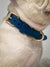 Signature Collar & Leash Set - Navy (Final Sale)