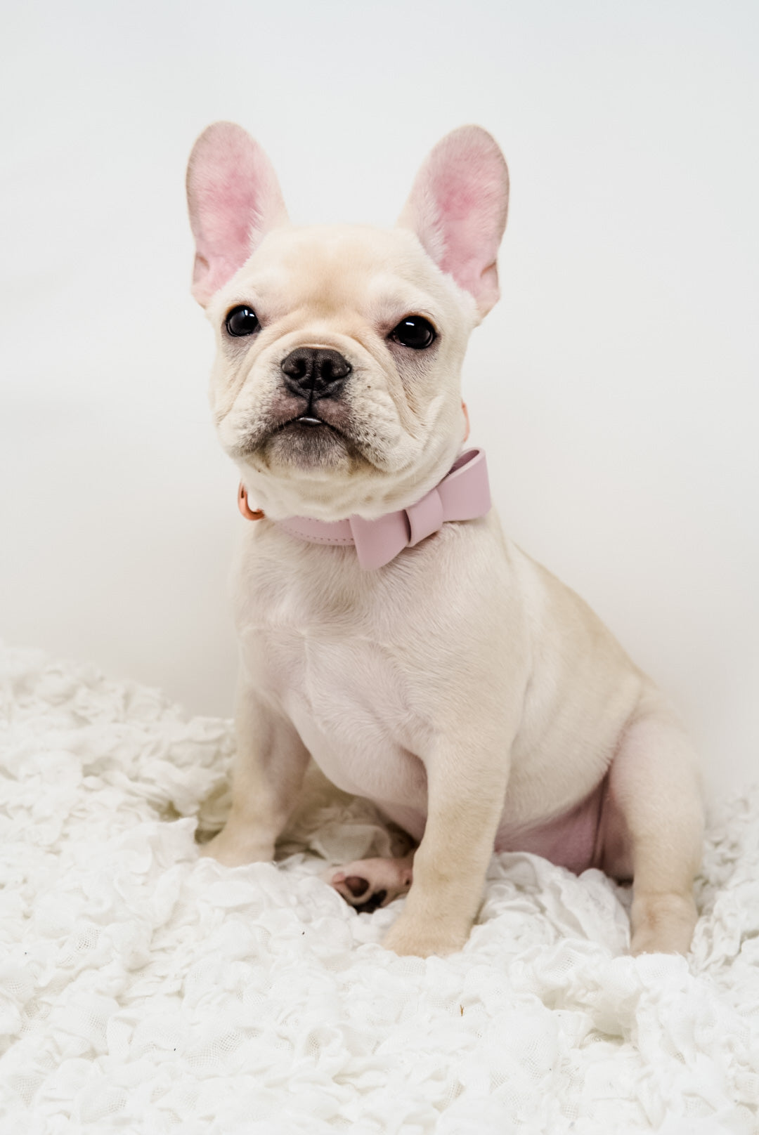 Signature Collar & Leash Set - Blush Pink (Final Sale)