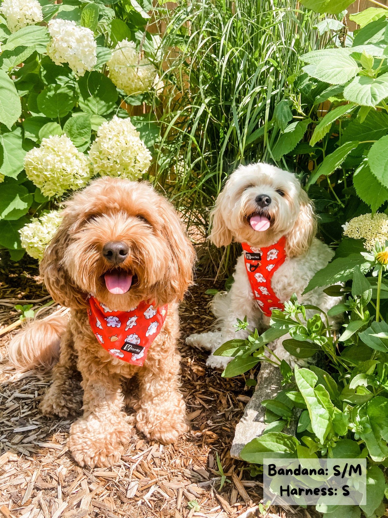 Cooling Dog Bandana - Moo Moo