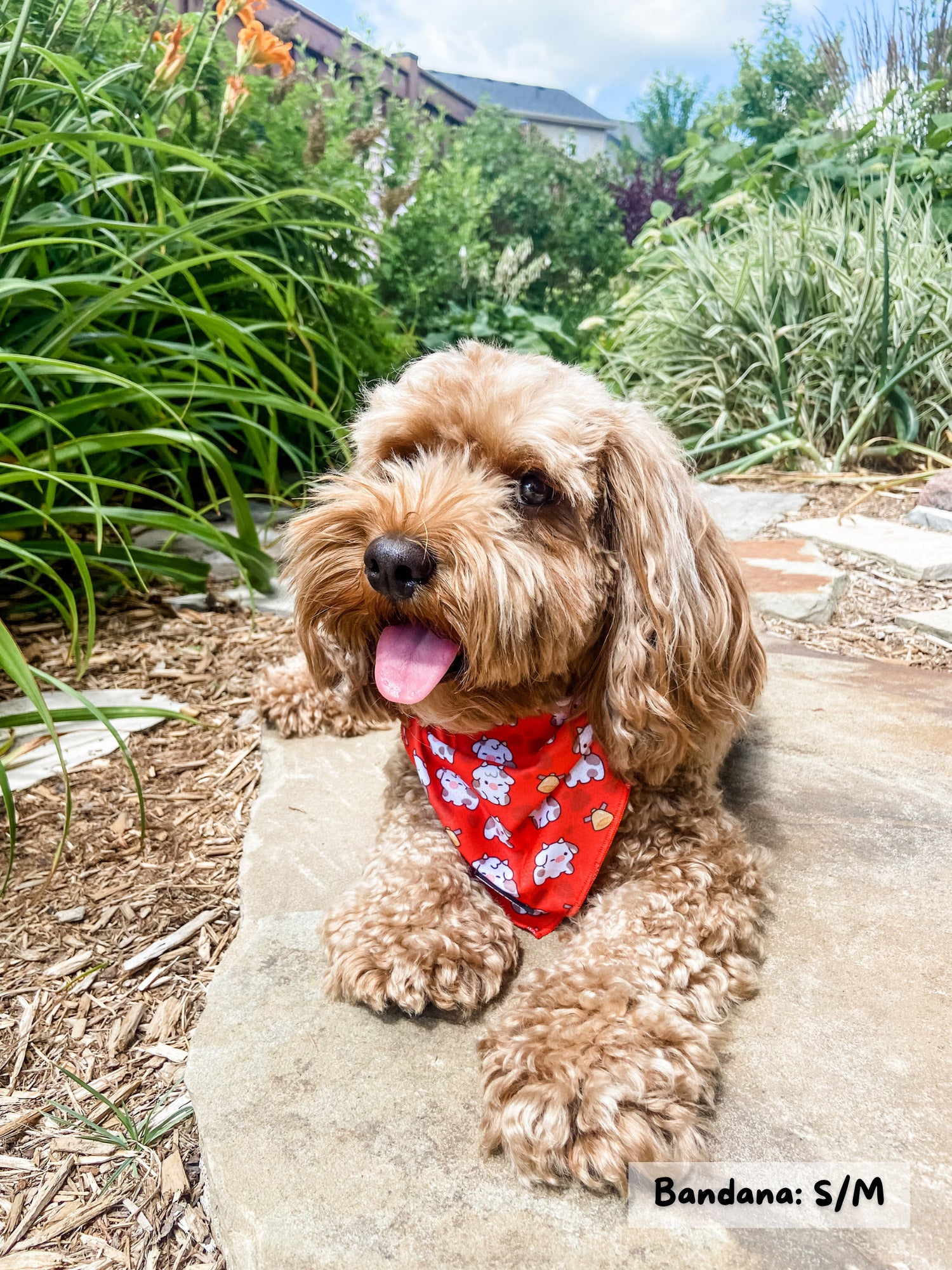 Cooling Dog Bandana - Moo Moo