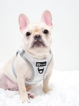 Step-In Dog Harness - Park City Plaid (Final Sale)