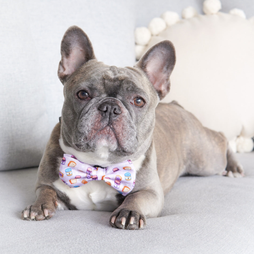 Dog Bow Tie - Peanut Butter Jelly (Final Sale)