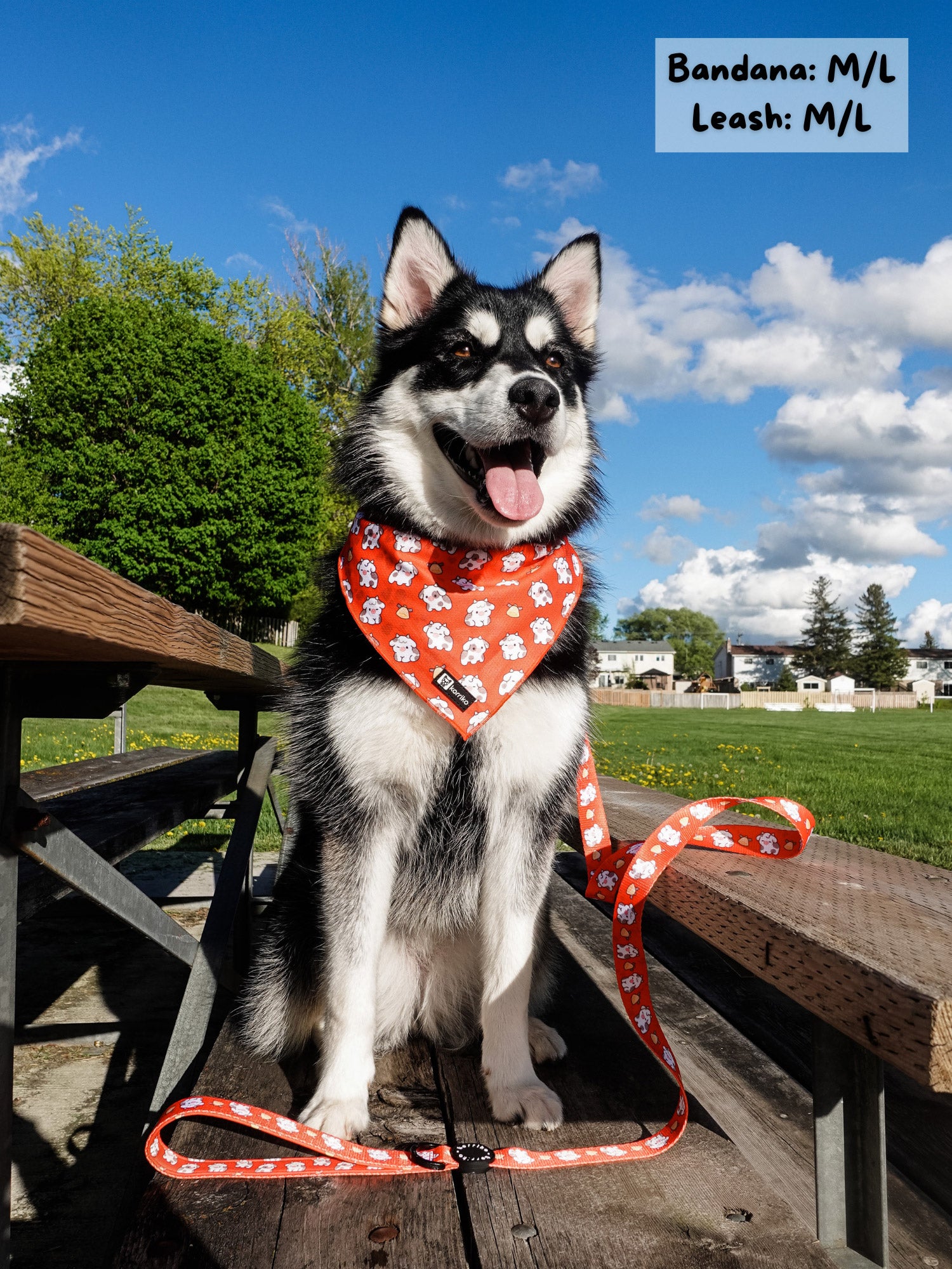 Cooling Dog Bandana - Moo Moo