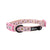 Dog Collar - Piece of Cake - Blue Paw Co.