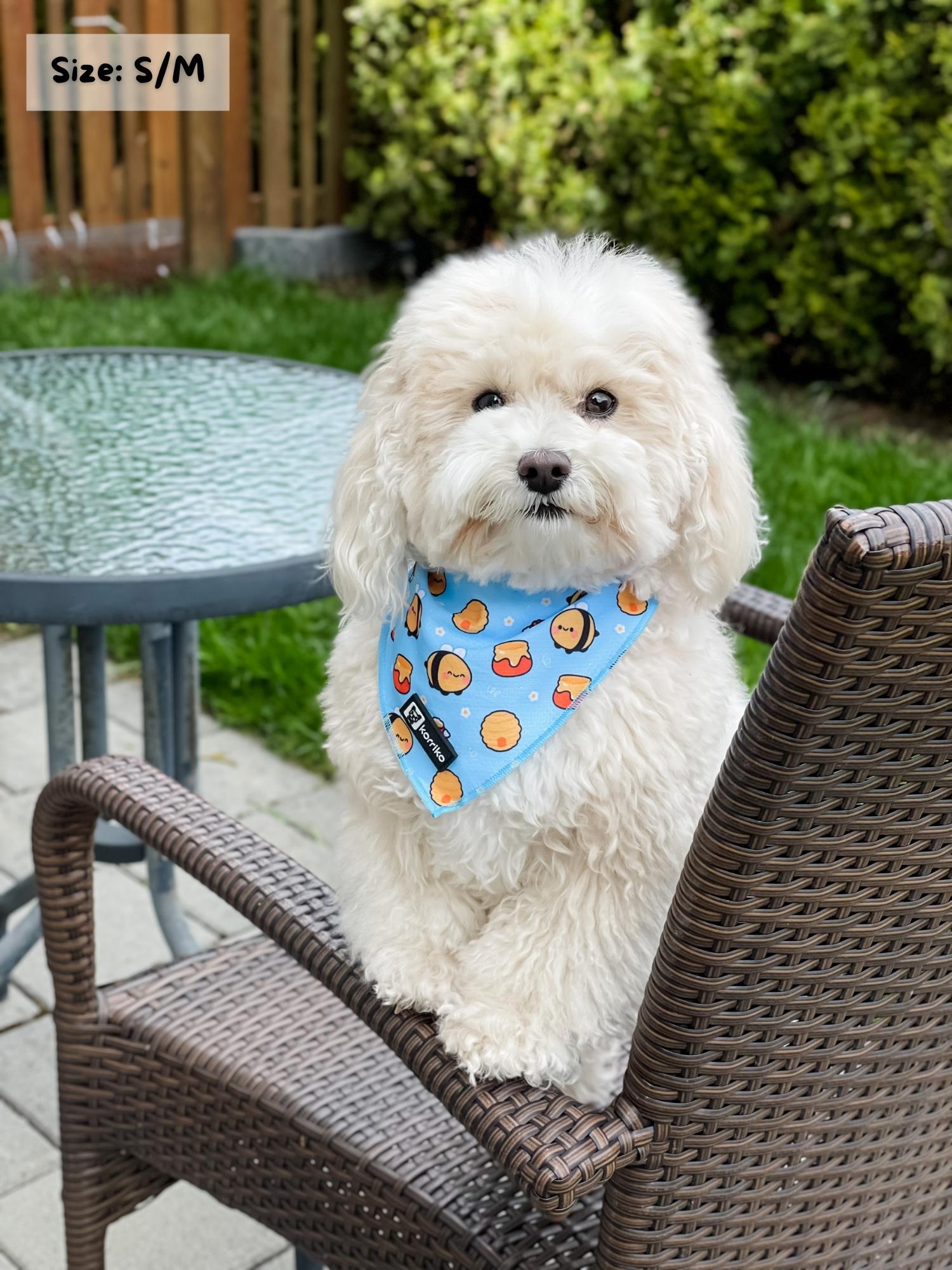 Cooling Dog Bandana - HoneyBee