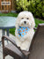 Cooling Dog Bandana - HoneyBee