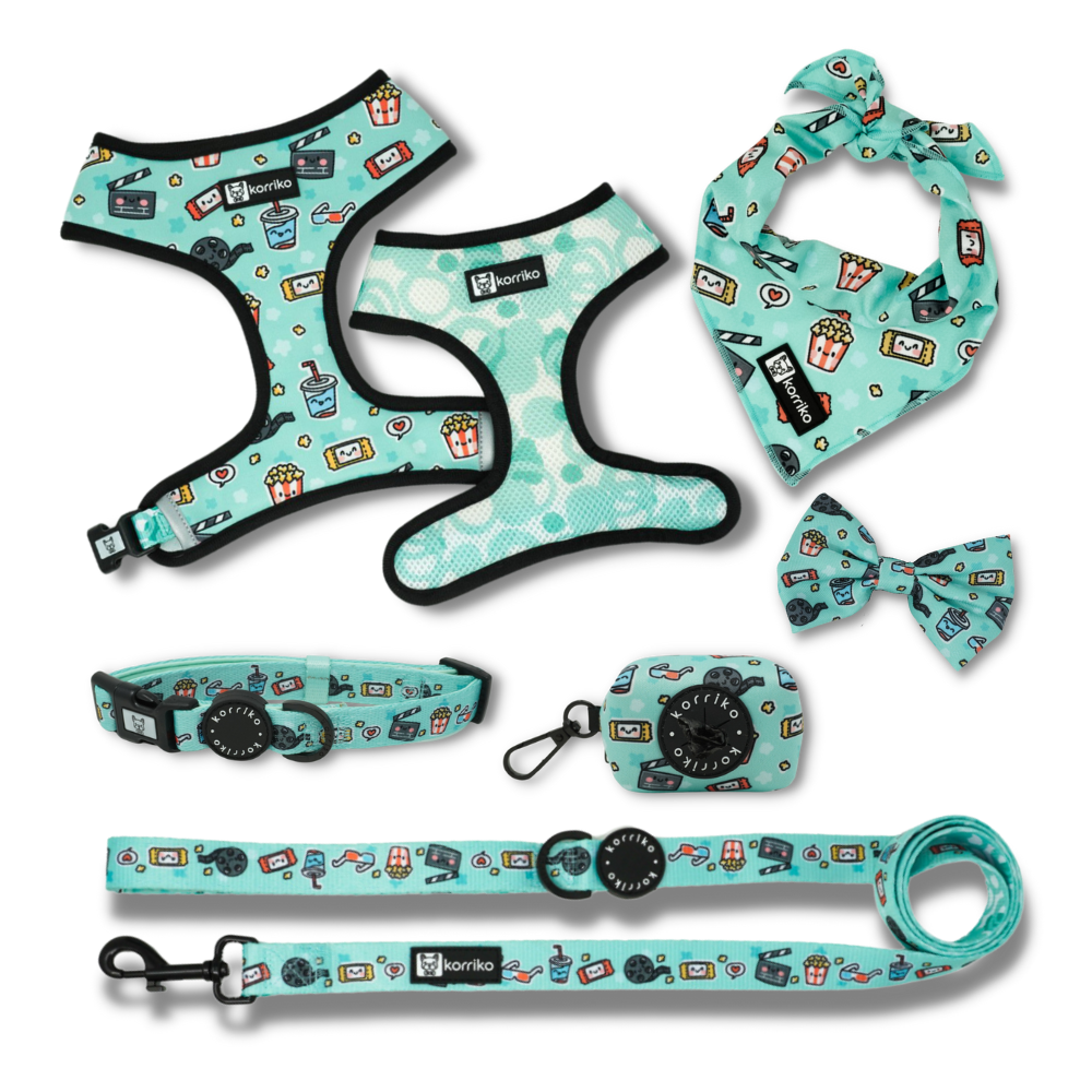 Harness Bundle Set - Pupflix (Final Sale)