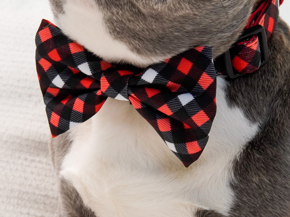 Dog Bow Tie - Red Plaid