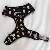 Classic No-Pull Dog Harness - Space Cadet (Final Sale)