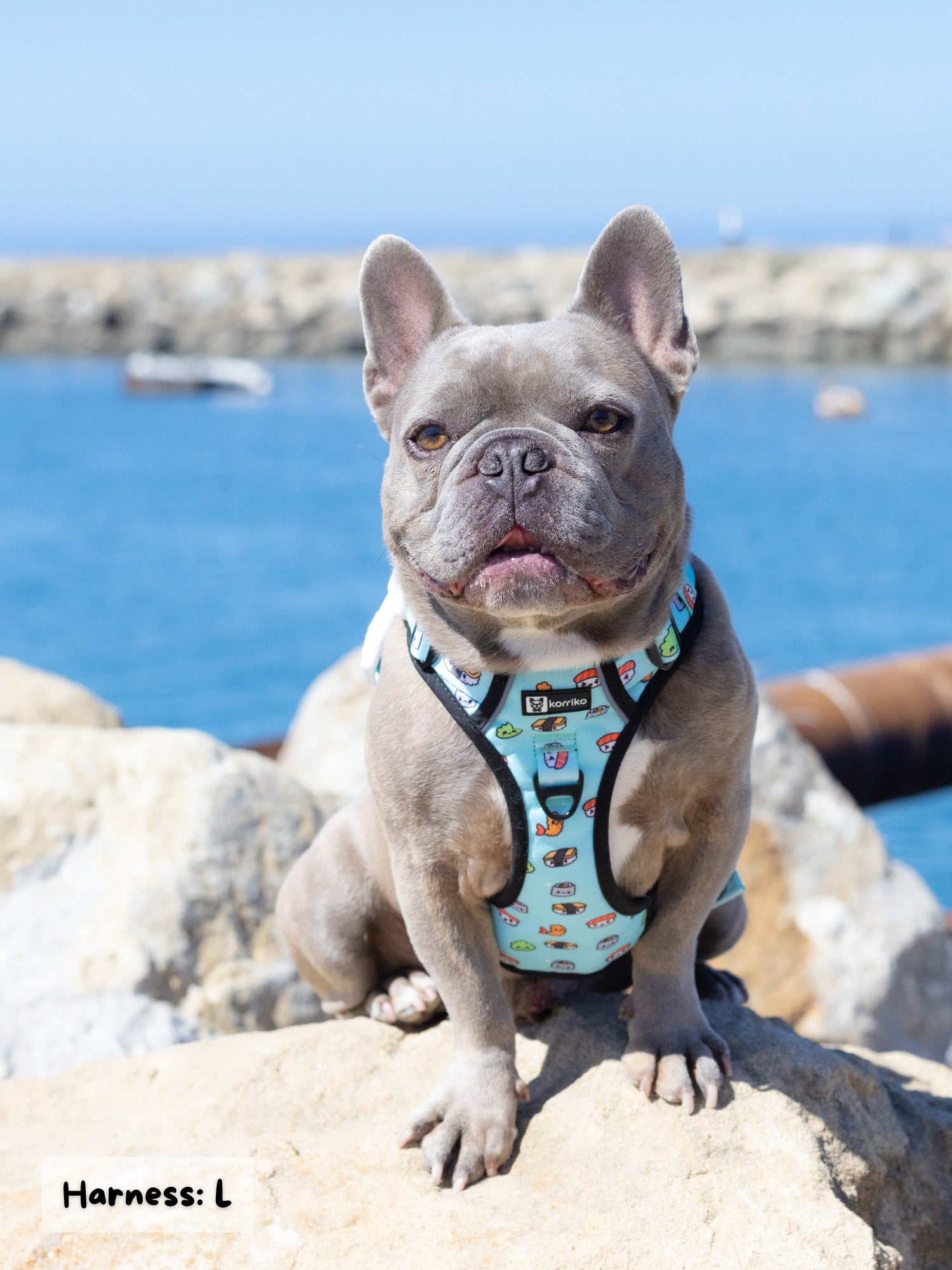 Exploration Lite No-Pull Dog Harness - Sushi