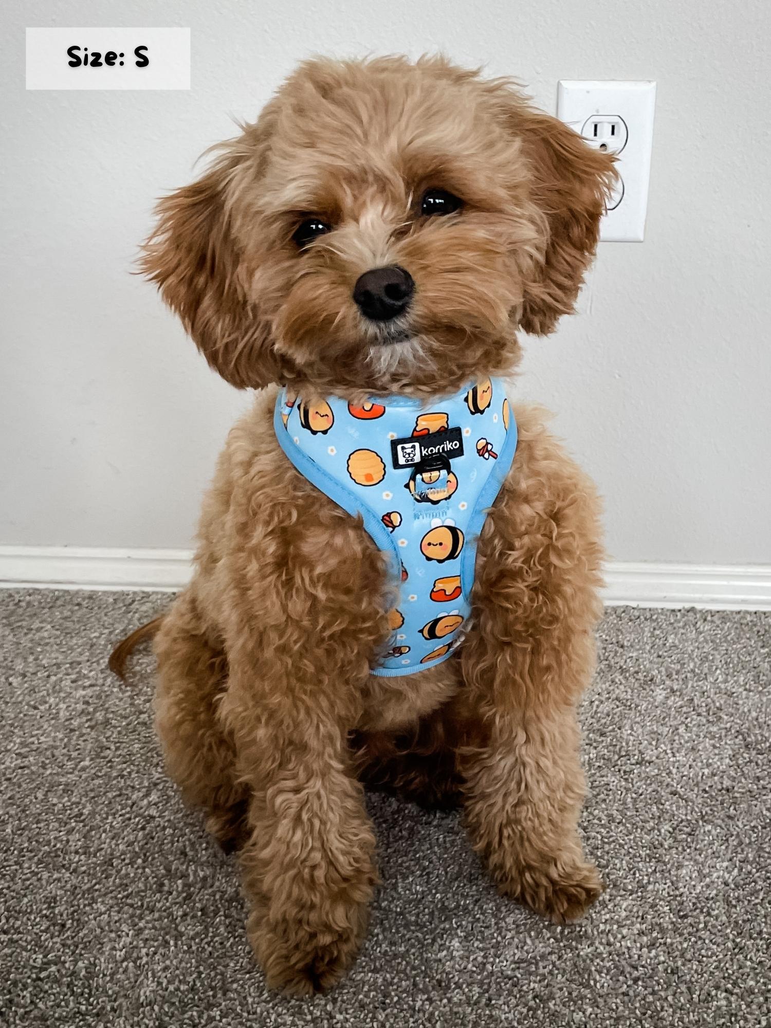 Adjustable Dog Harness - Honeybee (SECONDS - FINAL SALE)