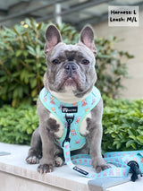 Adjustable Dog Harness - Dream Team (Final Sale)