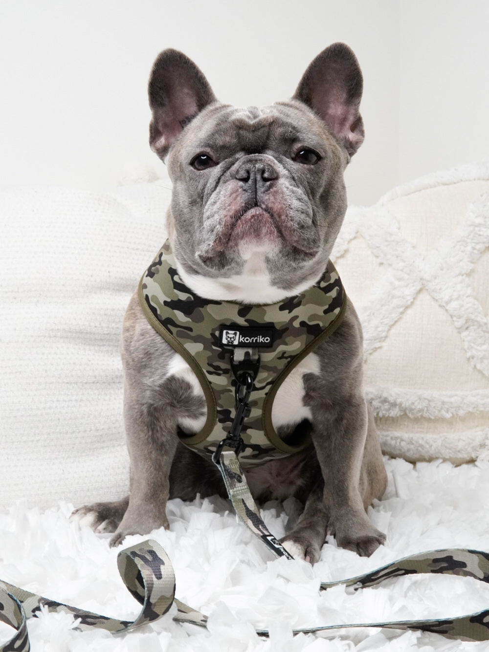 Classic No-Pull Dog Harness - Green Camo (Final Sale)