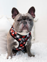 Adjustable Dog Harness - Red Plaid (SECONDS - FINAL SALE)